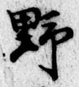 野 위치 확인됨