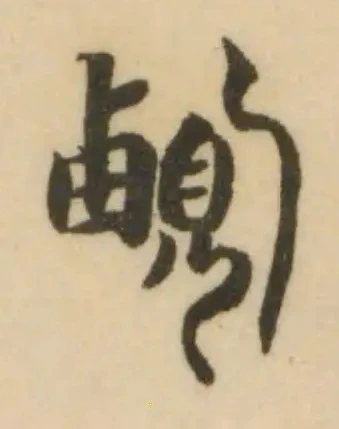 𩒵 위치 확인됨