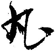 已定位丸