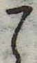 位置定マレル未定