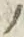 字ノ