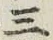文字三