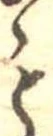 未割り当ての位置