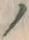 字ノ