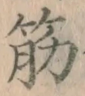 글자 筋