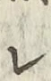 文字レ