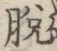 글자 脱