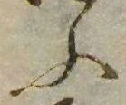 已定位ふ
