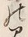 Chữ 督