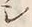 文字シ
