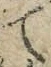 文字て