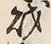 Character 財