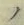 字ノ