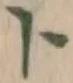 字ト