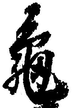 已定位亀