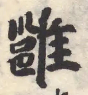 雝 위치 확인됨