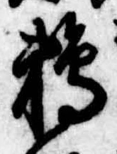 Đã định vị 鵜