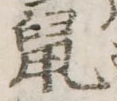 鼠 위치 확인됨