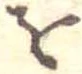 𛄜 위치 확인됨