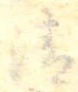 清 위치 확인됨