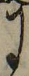 Đã định vị 𛂌