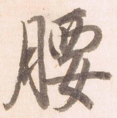 已定位腰