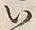 𡨸い