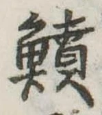 鱝の位置