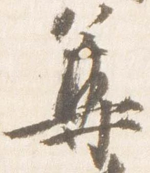 已定位尊