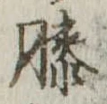 Đã định vị 膝