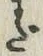 字だ