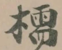 檽 위치 확인됨