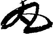 已定位丸
