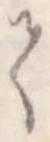 𛁳 위치 확인됨