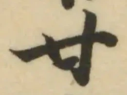 悸の位置