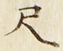 「尺」字