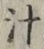 文字汁