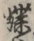 已定位蝶