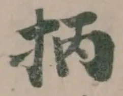 抦の位置