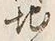 文字地