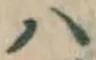 字ハ