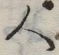 已定位人