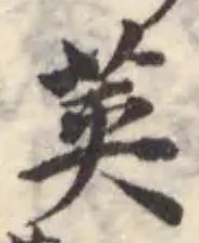 莢の位置