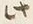 Character 此