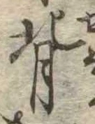 背 위치 확인됨