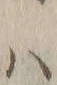 字ハ