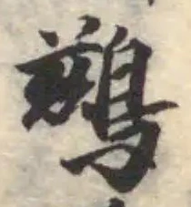 鷀 위치 확인됨