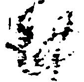 Đã định vị 謹