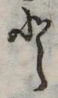Đã định vị 𛁻