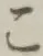 Chữ こ
